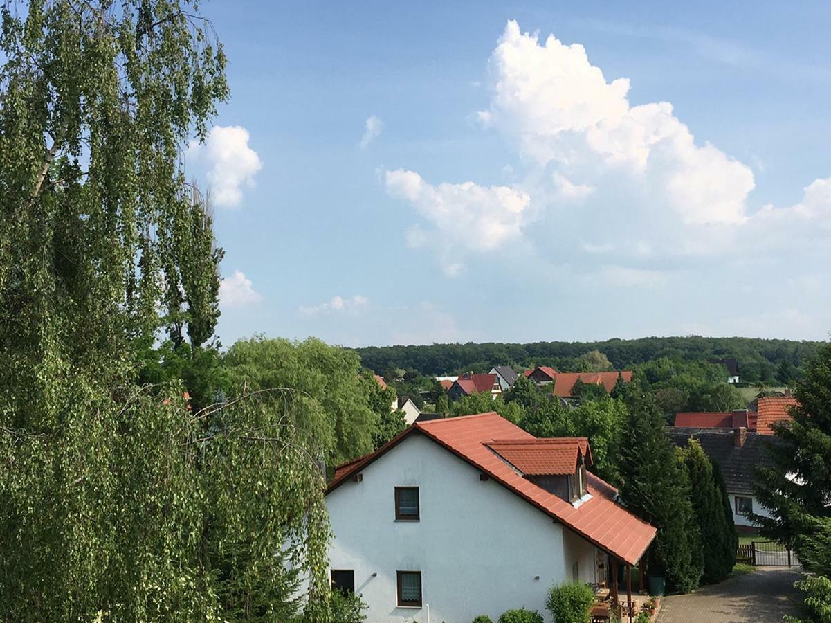 Zur Himmelsscheibe Apartment Ziegelroda